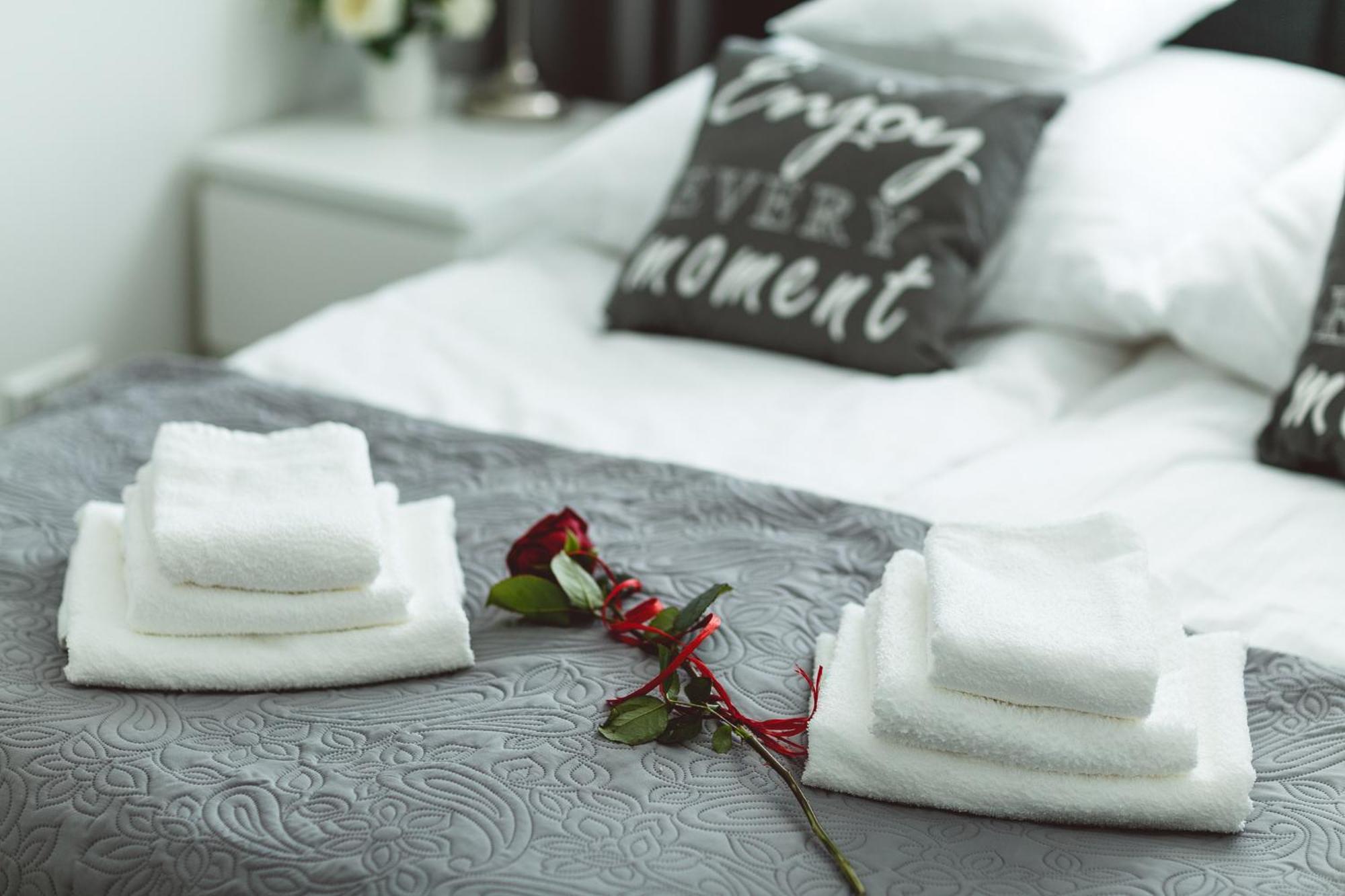 Silver Apartment Rzeszow